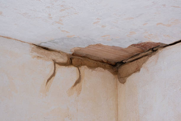 Best Flood damage cleanup  in Buchanan, NY