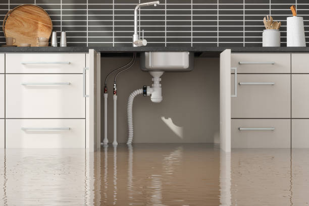 Best Flooded house restoration  in Buchanan, NY